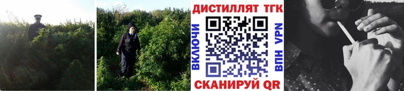 купить наркотик  Данков  Дистиллят ТГК вейп с тгк 