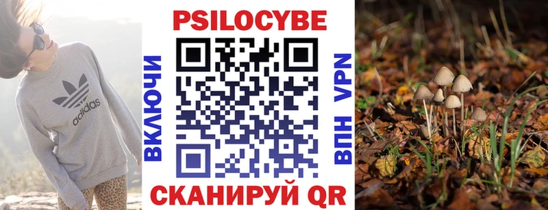 гидра рабочий сайт  Данков  Псилоцибиновые грибы GOLDEN TEACHER  цена  
